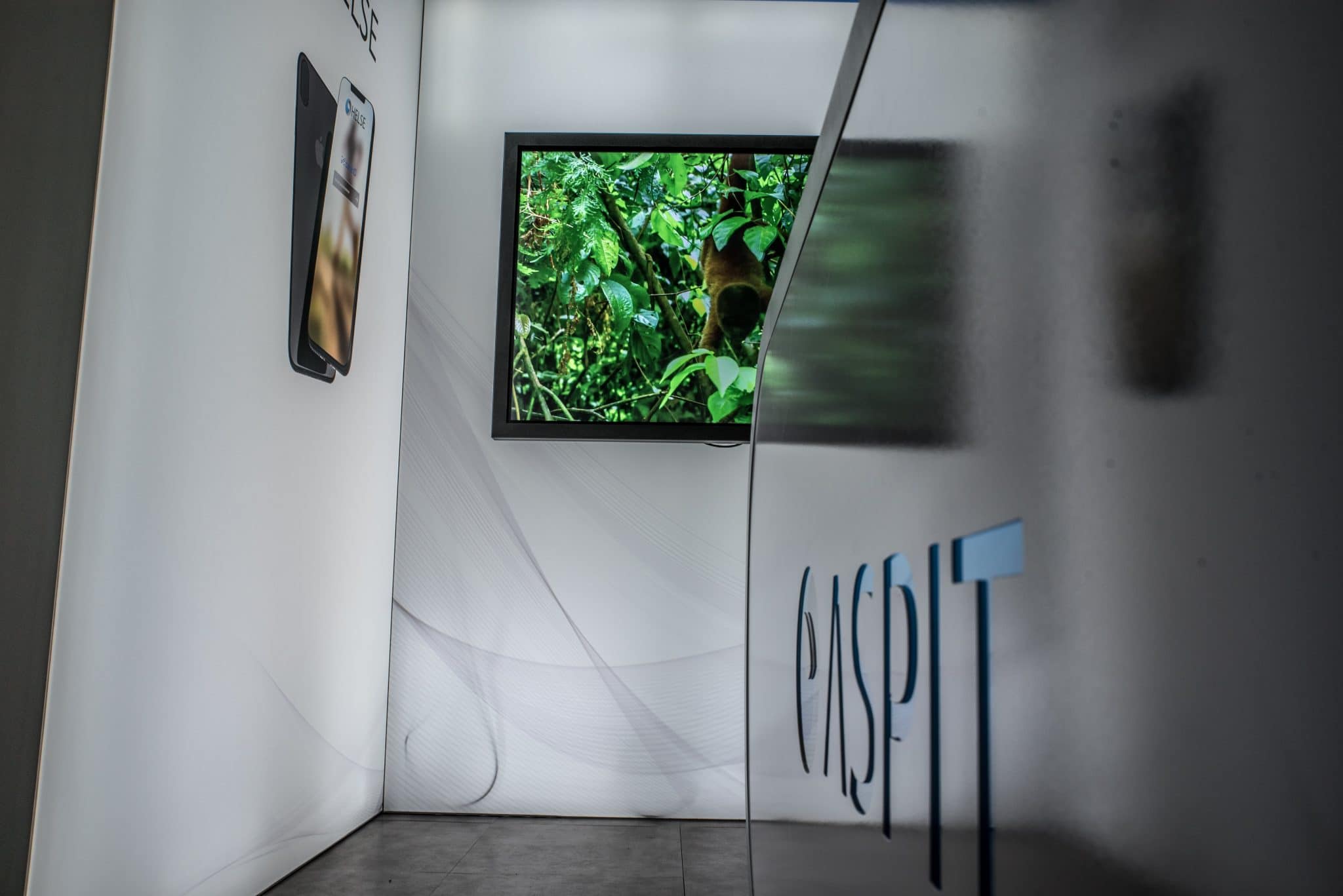Aspit - bilde 4